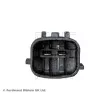 Valve de commande, réglage d'arbres à came BLUE PRINT ADBP740057 - Visuel 3