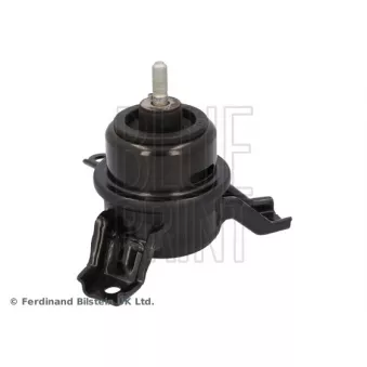 Support moteur avant droit BLUE PRINT ADBP800502