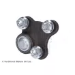 Rotule de suspension avant gauche BLUE PRINT ADBP860086 - Visuel 3