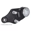 Rotule de suspension BLUE PRINT ADBP860186 - Visuel 2