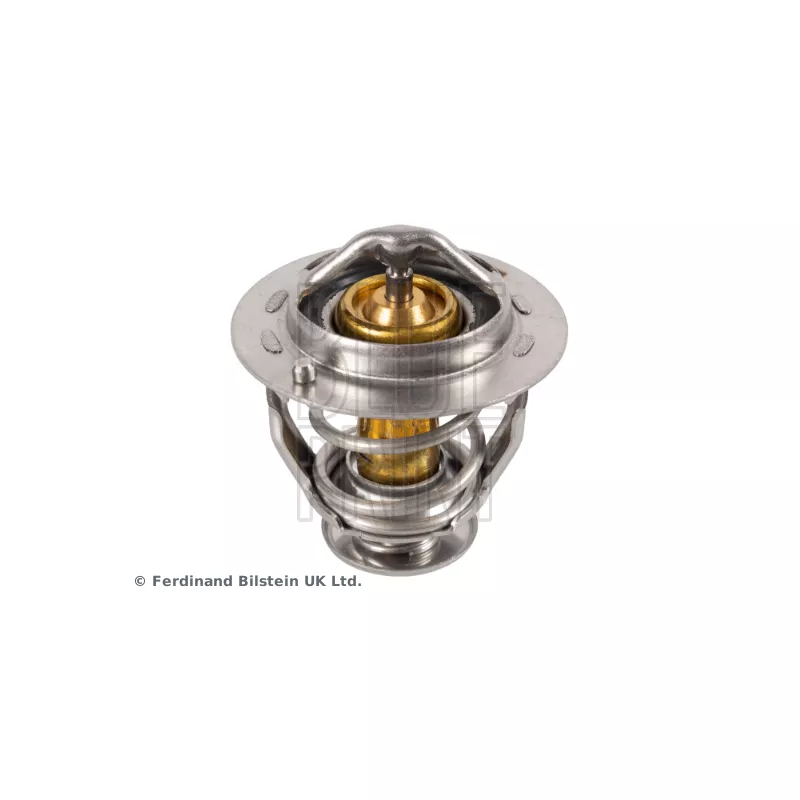 Thermostat d'eau BLUE PRINT ADBP920000