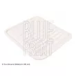 Filtre à air BLUE PRINT ADC42259 - Visuel 1