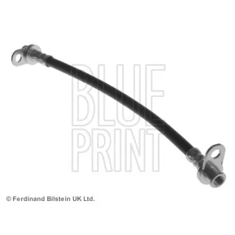 Flexible de frein BLUE PRINT