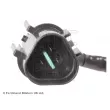 Capteur d'angle, vilebrequin BLUE PRINT ADC47211 - Visuel 2