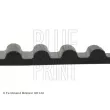 Courroie crantée BLUE PRINT ADC47503 - Visuel 2