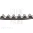 Courroie crantée BLUE PRINT ADC47522 - Visuel 2