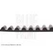 Courroie crantée BLUE PRINT ADC47527 - Visuel 2