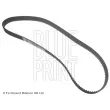 Courroie crantée BLUE PRINT ADC47535 - Visuel 1