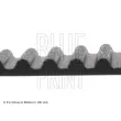 Courroie crantée BLUE PRINT ADC47536 - Visuel 2