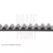 Courroie crantée BLUE PRINT ADC47539 - Visuel 2