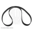 Courroie crantée BLUE PRINT ADC47548 - Visuel 1