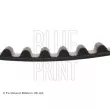 Courroie crantée BLUE PRINT ADC47549 - Visuel 2