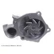 Pompe à eau BLUE PRINT ADC49151 - Visuel 2
