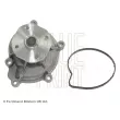 Pompe à eau BLUE PRINT ADC49163 - Visuel 1