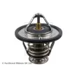 Thermostat d'eau BLUE PRINT ADC49206 - Visuel 1