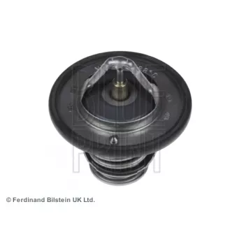 Thermostat d'eau BLUE PRINT ADC49211