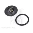 Thermostat d'eau BLUE PRINT ADC49215 - Visuel 1