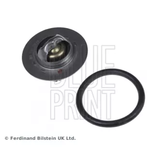 Thermostat d'eau BLUE PRINT ADC49215