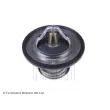 Thermostat d'eau BLUE PRINT ADC49216 - Visuel 1