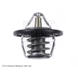 Thermostat d'eau BLUE PRINT ADC49216 - Visuel 2