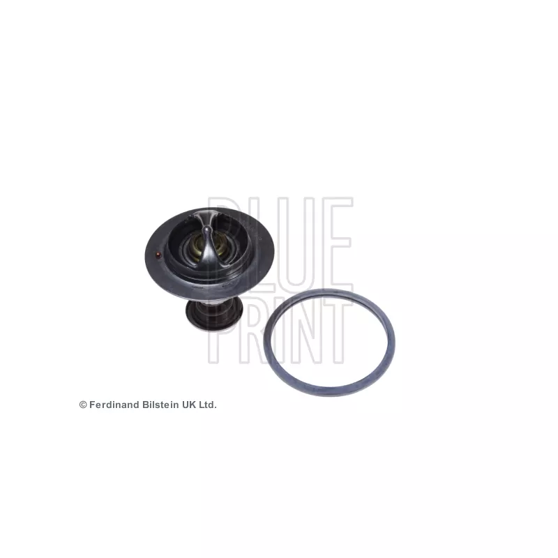 Thermostat d'eau BLUE PRINT ADC49224