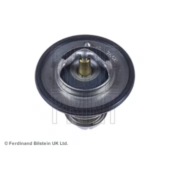 Thermostat d'eau BLUE PRINT ADC49226
