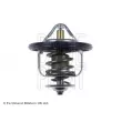 Thermostat d'eau BLUE PRINT ADC49226 - Visuel 2
