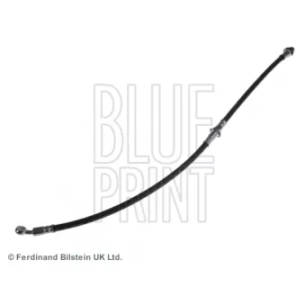 Flexible de frein BLUE PRINT