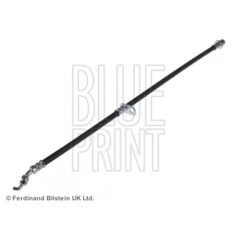 Flexible de frein avant droit BLUE PRINT ADD65352