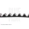 Courroie crantée BLUE PRINT ADD67511 - Visuel 2