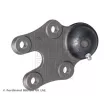 Rotule de suspension BLUE PRINT ADD68621 - Visuel 2