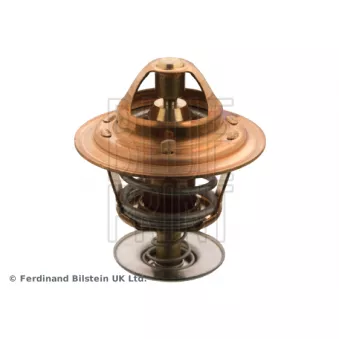 Thermostat d'eau BLUE PRINT ADD69203