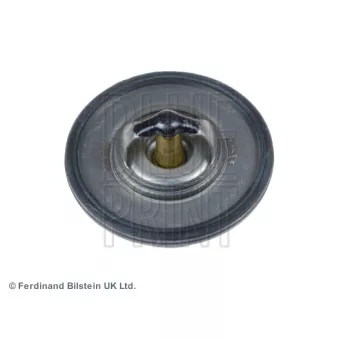 Thermostat d'eau BLUE PRINT ADD69207