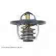 Thermostat d'eau BLUE PRINT ADD69207 - Visuel 2