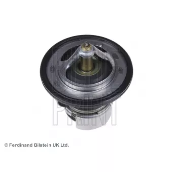 Thermostat d'eau BLUE PRINT ADD69209
