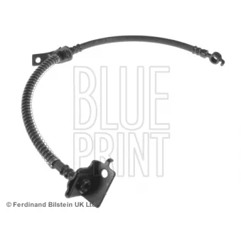 Flexible de frein avant gauche BLUE PRINT ADG053147