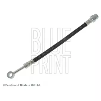 Flexible de frein BLUE PRINT