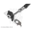 Flexible de frein avant gauche BLUE PRINT ADG053207 - Visuel 2