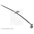 Flexible de frein avant droit BLUE PRINT ADG053217 - Visuel 1