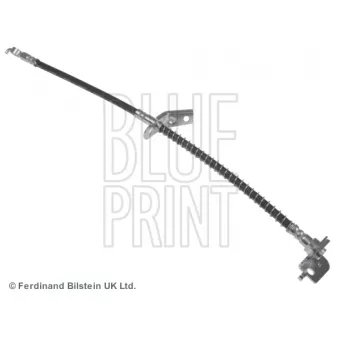 Flexible de frein avant droit BLUE PRINT ADG053217