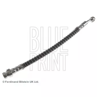 Flexible de frein avant droit BLUE PRINT