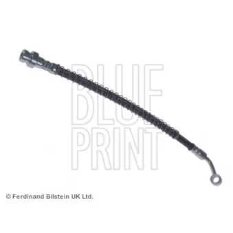 Flexible de frein avant droit BLUE PRINT