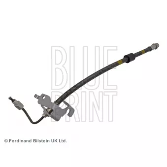 Flexible de frein arrière gauche BLUE PRINT ADG053316