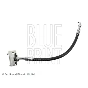 Flexible de frein arrière droit BLUE PRINT ADG053325
