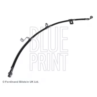 Flexible de frein BLUE PRINT