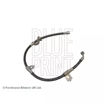 Flexible de frein BLUE PRINT