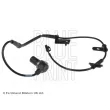 Capteur, vitesse de roue BLUE PRINT ADG07144 - Visuel 1