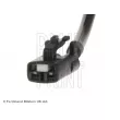 Capteur, vitesse de roue BLUE PRINT ADG07144 - Visuel 2