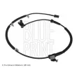 Capteur, vitesse de roue avant droit BLUE PRINT ADG07153 - Visuel 1