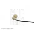 Capteur, vitesse de roue avant gauche BLUE PRINT ADG07179 - Visuel 2